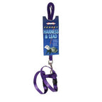 Marshall Arnés y Correa para Hurones - Negro