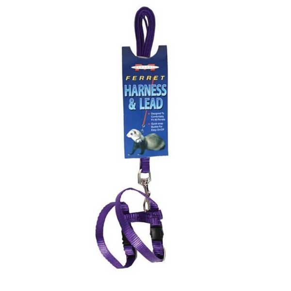 Marshall Arnés y Correa para Hurones - Negro