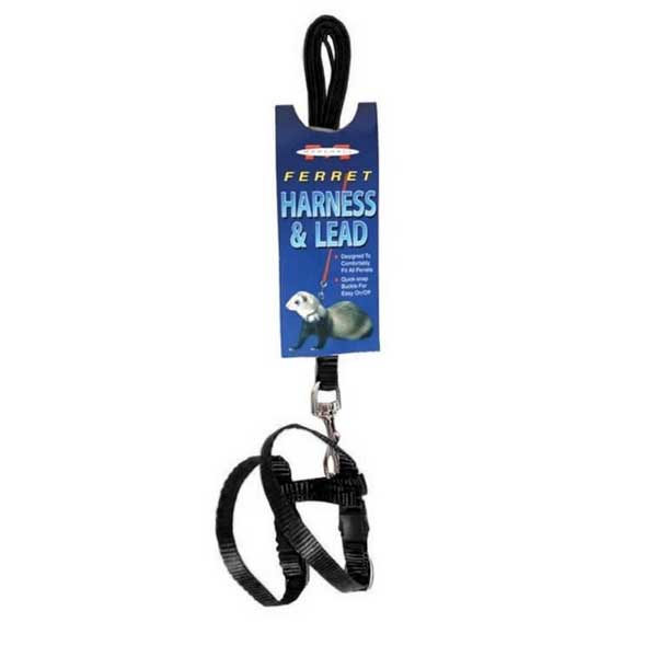 Marshall Arnés y Correa para Hurones