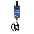 Marshall Arnés y Correa para Hurones