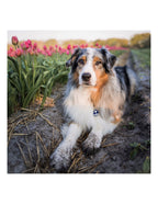 Placa Charms "My Family" Ancla