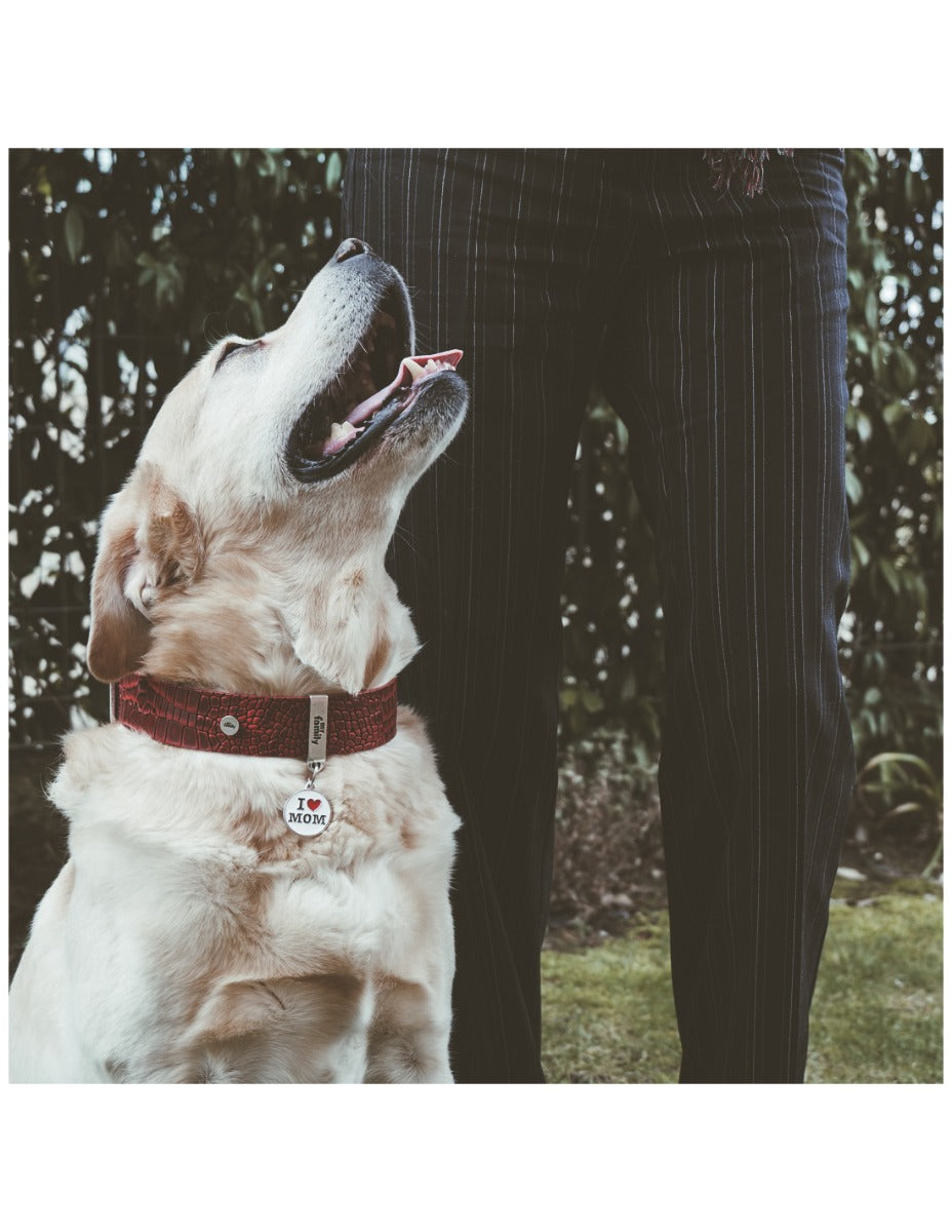 Placa Charms "My Family" I love Mom