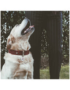 Placa Charms "My Family" I love Mom