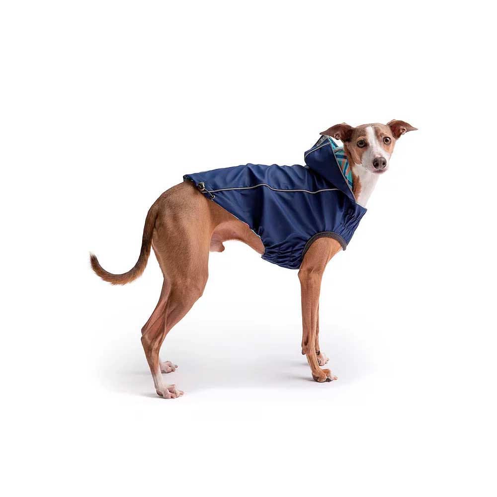 Impermeable Reversible Azul para Perros - XS