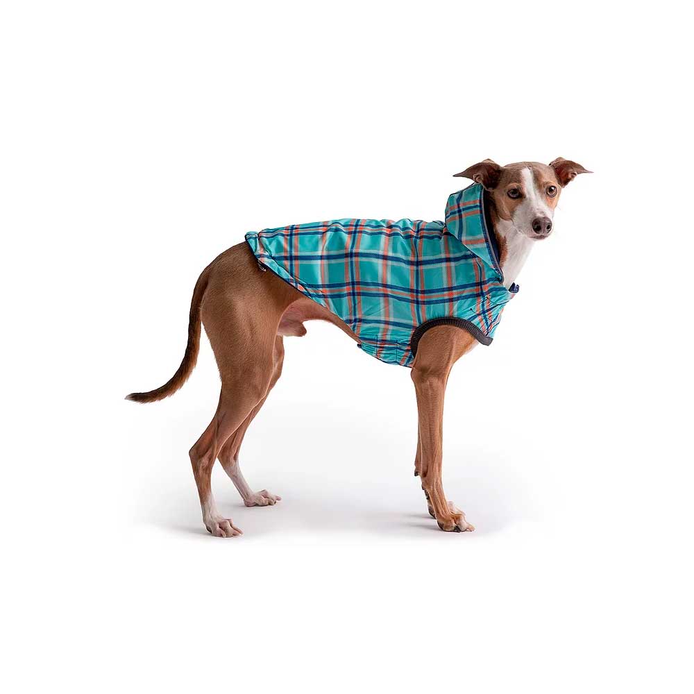 Impermeable Reversible Azul para Perros - L