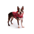 Impermeable Reversible Rojo para Perros - L