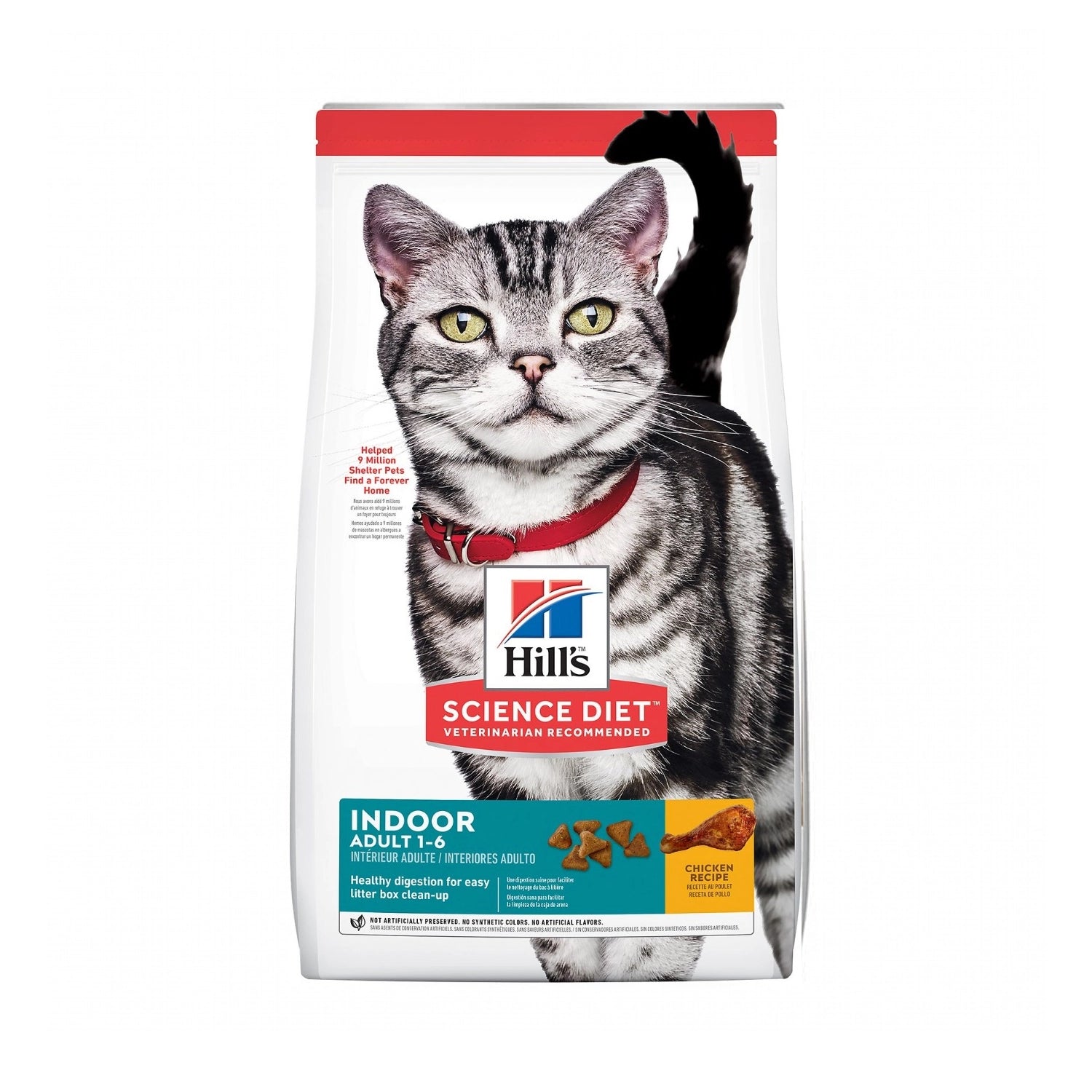 Hill's Indoor para Gatos Adultos con receta de pollo, alimento seco para gatos de interior y envase con gato gris adulto.