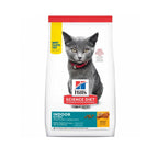 Hill's Indoor para Gatitos con receta de pollo, alimento seco para gatitos de interior en envase con un gatito gris sobre fondo blanco.