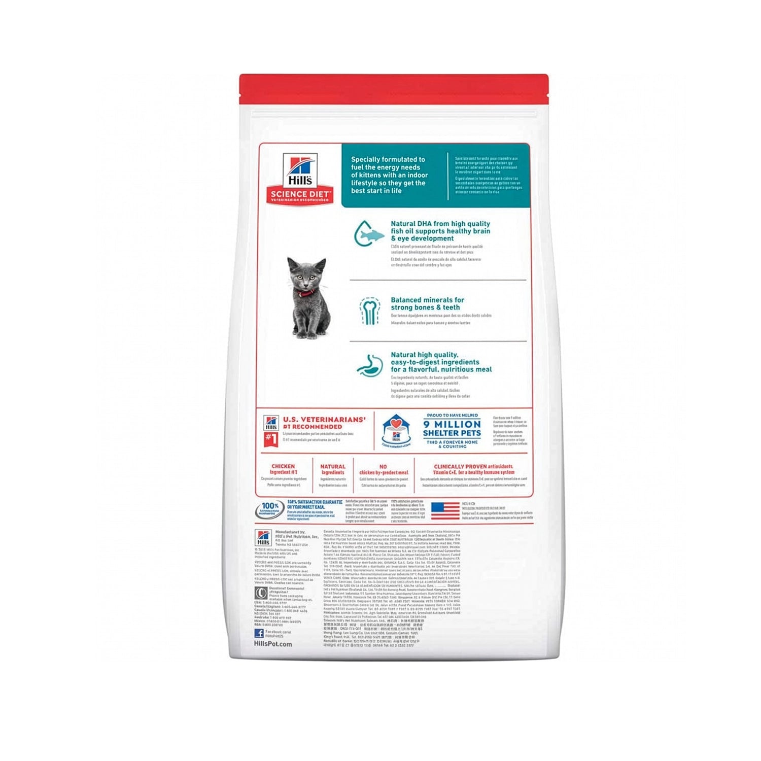 Hill's Indoor para Gatitos con receta de pollo, alimento seco para gatitos de interior en envase con un gatito gris sobre fondo blanco.