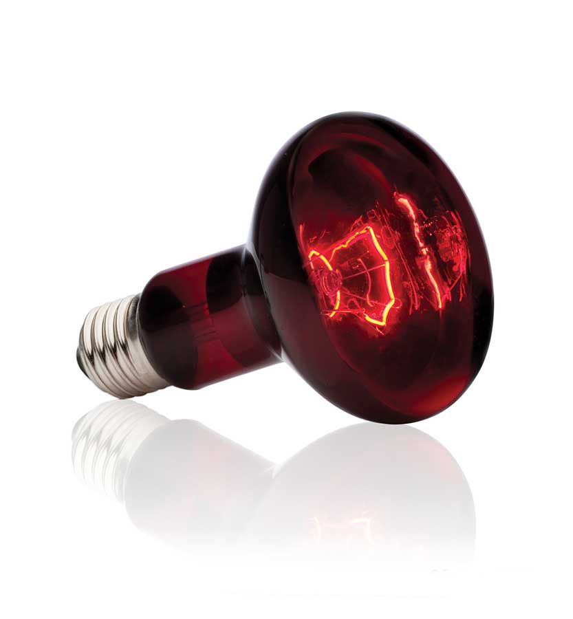 Ampolleta Heat Glo Infrarroja Exo Terra