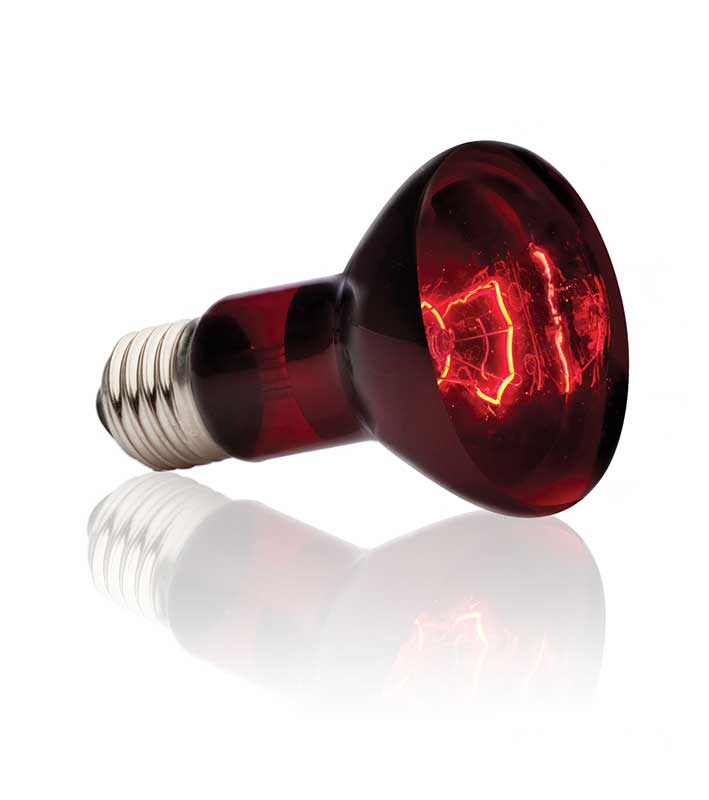Ampolleta Heat Glo Infrarroja Exo Terra - 50 W