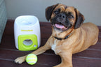 Dispensador Interactivo "Fetch'N Treat" de golosinas para Perros