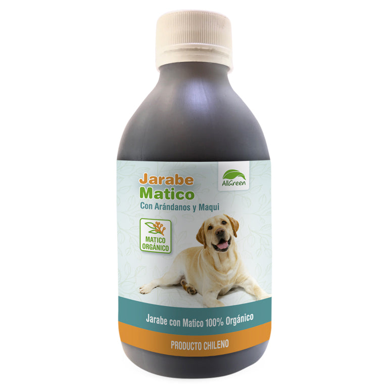 AllGreen Jarabe de Matico Gastro-Protector para Mascotas