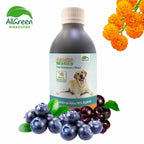Envase de AllGreen Jarabe de Matico Gastro-Protector para Mascotas con arándanos, maqui y matico orgánico.