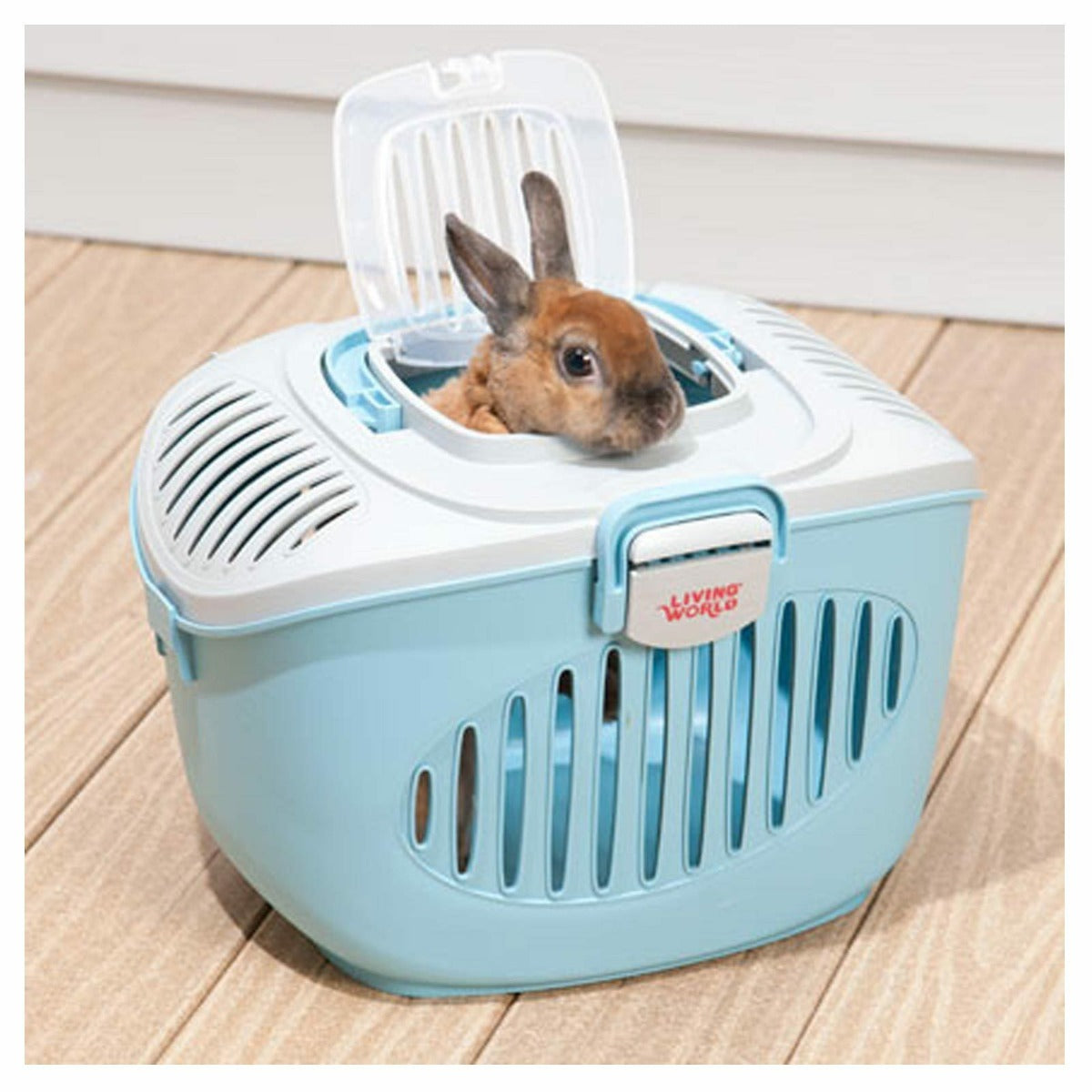 Jaula de Transporte Living Word