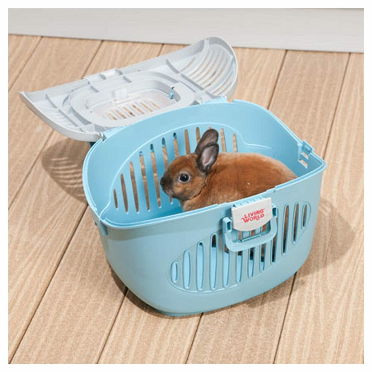 Jaula de Transporte Living Word