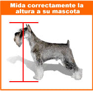 Caja de Transporte VOYAGEUR  - L: 62 x 43 x 37 cm / Fucsia/Gris