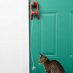 Juguete "Spring String"
