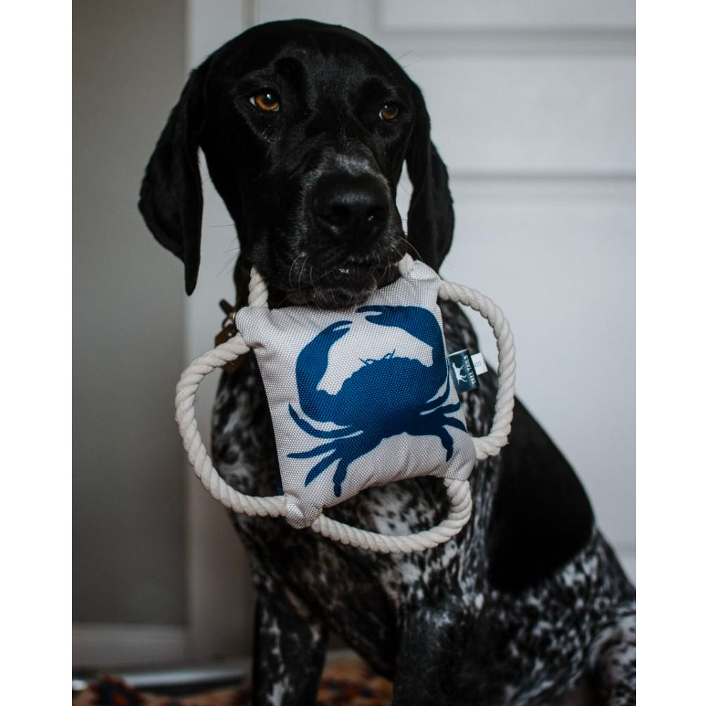 Juguete Cangrejo 4 Direcciones Tall Tails