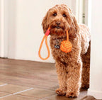 Set de Cuerda Flotante Tall Tails