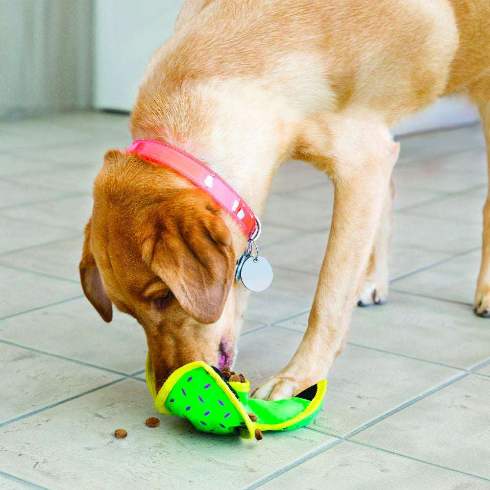 Juguete Kong "Ballistic Hide 'n Treat" - Large