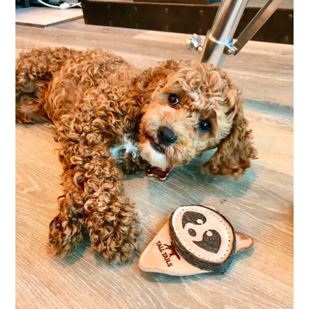 Juguete "Scrappy Raccoon" Tall Tails