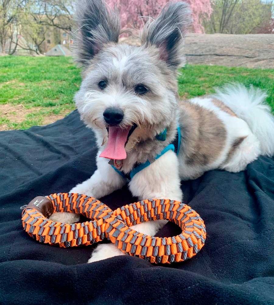 Juguete Trenzado Naranjo Tall Tails