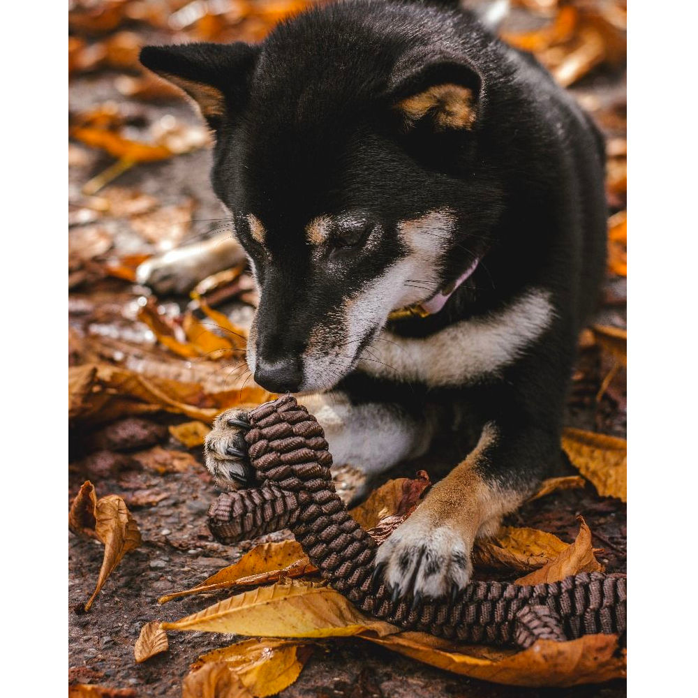 Juguete Vara Trenzada Café Tall Tails