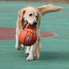 Pelota Basketball con Mango "JUMBALL"