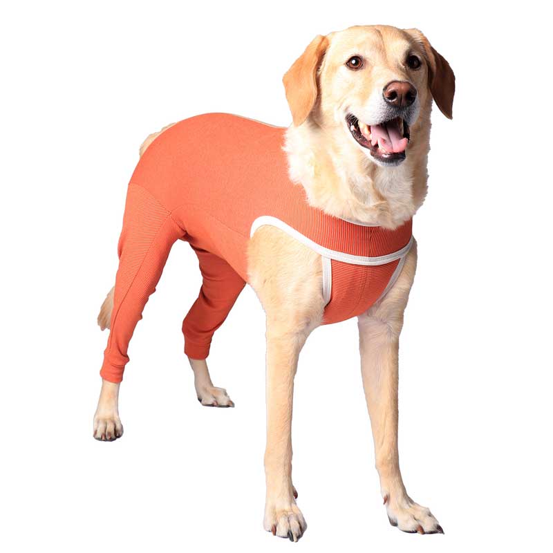 Body de Cobre Miembros Posteriores - 11