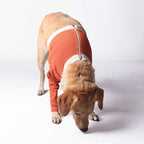 Polerón Cobre Miembros Anteriores - Chile / 6