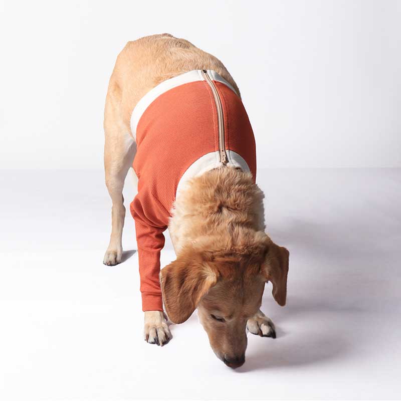 Polerón Cobre Miembros Anteriores - Chile / 12