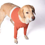 Polerón Cobre Miembros Anteriores - Chile / 10