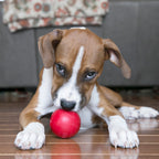 Kong Pelota Clásica para Perros de goma roja resistente, con abertura para premios y diseño duradero para juegos activos.