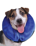 Collar Isabelino Inflable Kong Cloud 