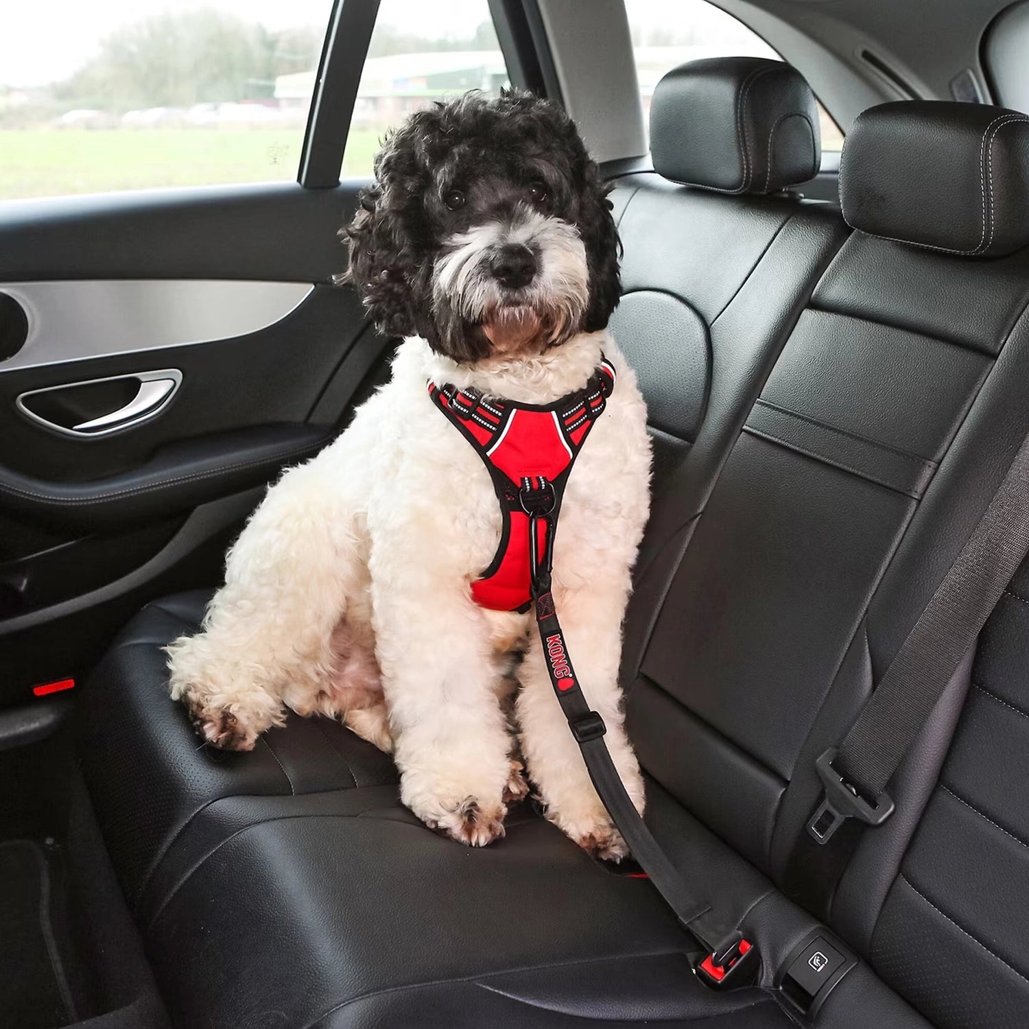 KONG Correa de Seguridad para Cinturón de Auto con mosquetón metálico, ajuste regulable y anclaje para transportar perros de forma segura.