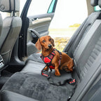 KONG Correa de Seguridad para Cinturón de Auto con mosquetón metálico, ajuste regulable y anclaje para transportar perros de forma segura.