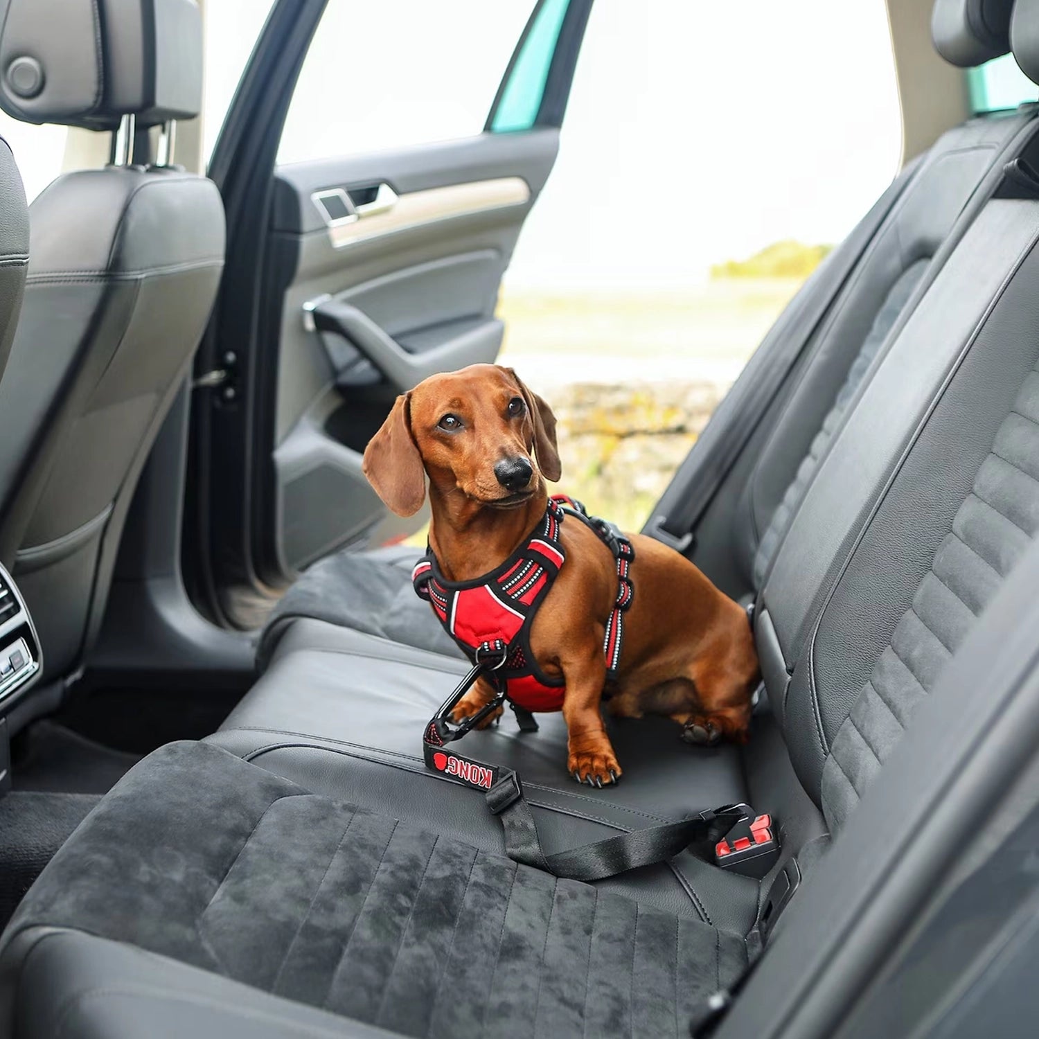 KONG Correa de Seguridad para Cinturón de Auto con mosquetón metálico, ajuste regulable y anclaje para transportar perros de forma segura.
