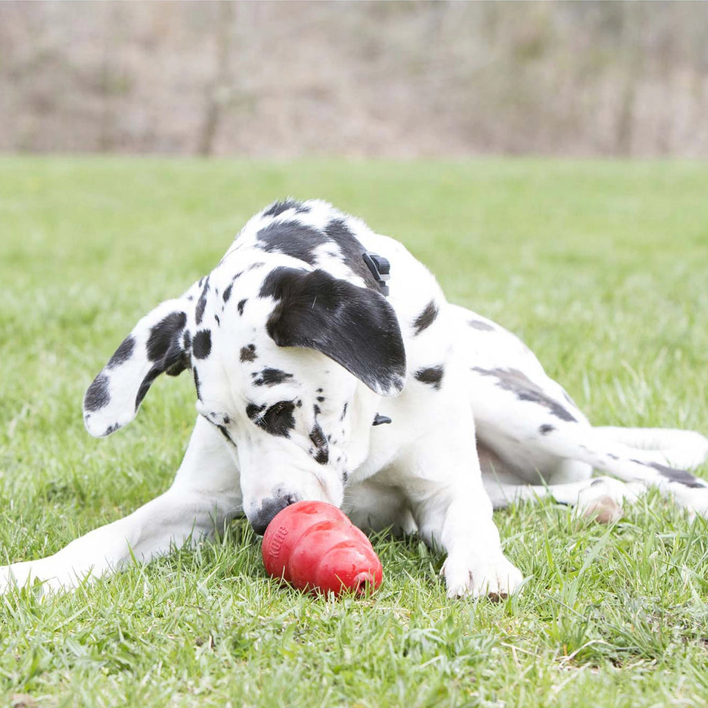 Snack de Relleno KONG - Mantequilla de Maní en tubo dosificador para perros, ideal para rellenar juguetes KONG y prolongar el juego.