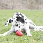 Snack de Relleno KONG - Mantequilla de Maní en tubo dosificador para perros, ideal para rellenar juguetes KONG y prolongar el juego.