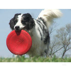 KONG "Flyer" Frisbee para Perros