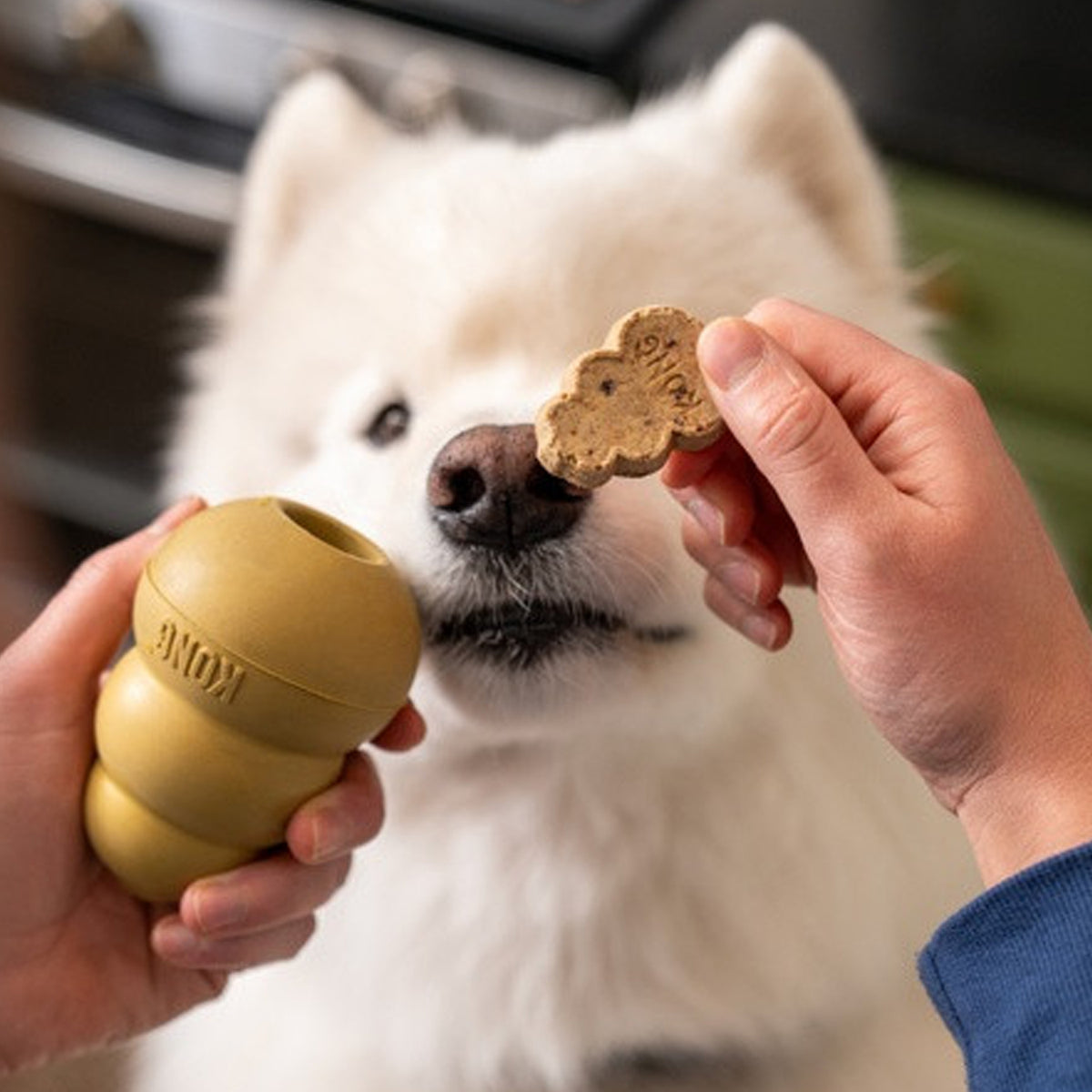 Kong Classic Gold Juguete para Perros - Edición 50 Años, juguete dorado de goma con la clásica forma KONG.