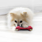 Hueso KONG "Goodie Bone" Clásico color rojo, juguete de goma resistente para perros con forma de hueso y espacio para premios.