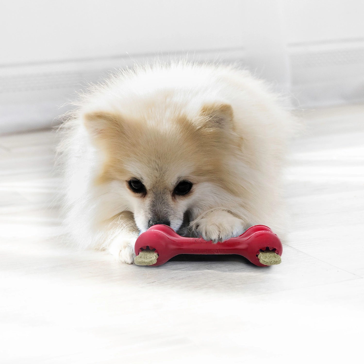 Hueso KONG "Goodie Bone" Clásico color rojo, juguete de goma resistente para perros con forma de hueso y espacio para premios.