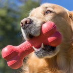 Hueso KONG "Goodie Bone" Clásico color rojo, juguete de goma resistente para perros con forma de hueso y espacio para premios.
