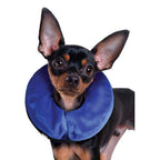 Collar Isabelino Inflable Kong Cloud  - L: Cuello 38 a 51 cm