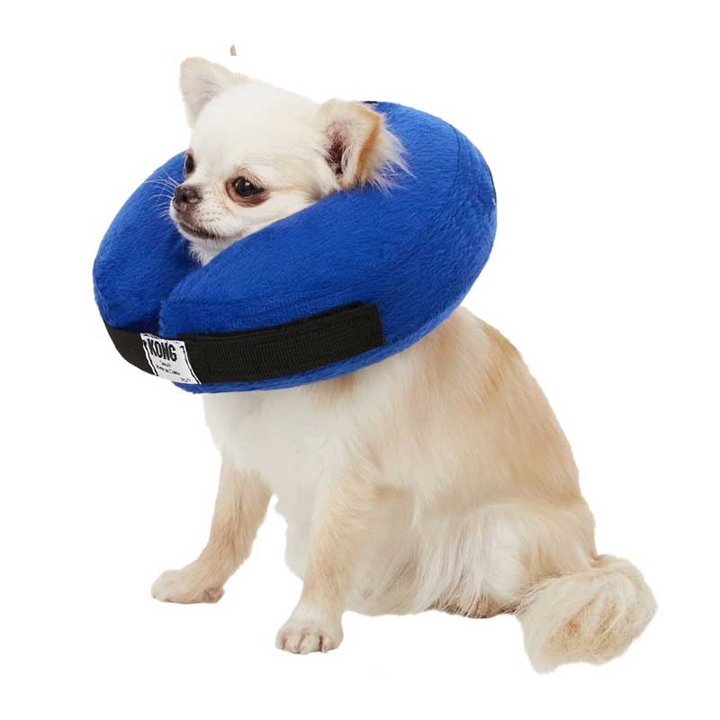 Collar Isabelino Inflable Kong Cloud 