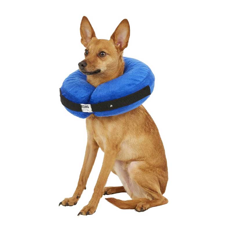 Collar Isabelino Inflable Kong Cloud 