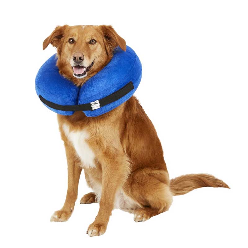 Collar Isabelino Inflable Kong Cloud 