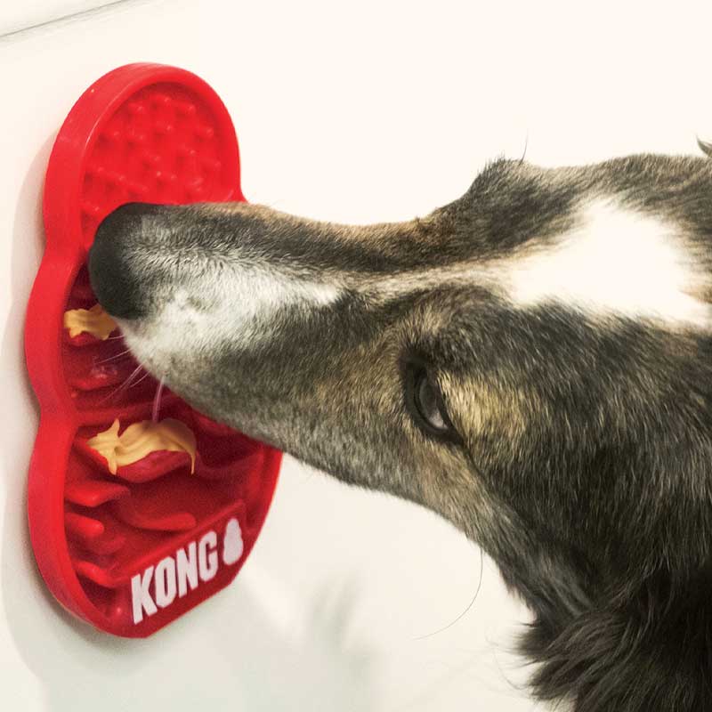 Kong Licks para Perros